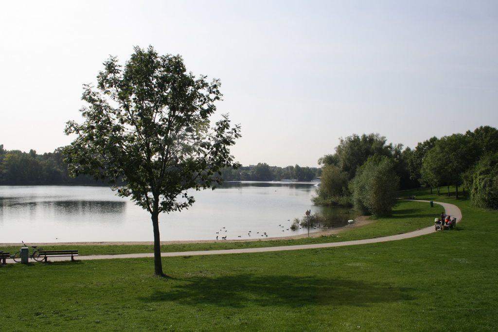 direkt am Rheinauer See