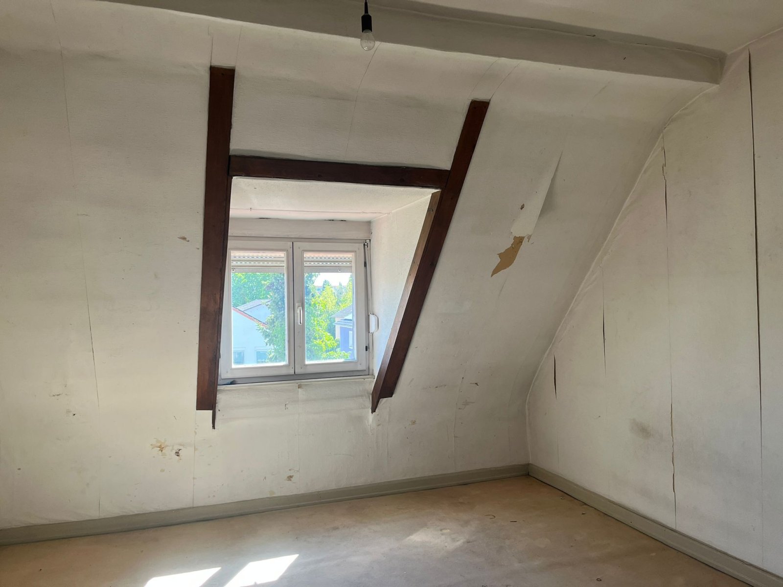 Büro DG