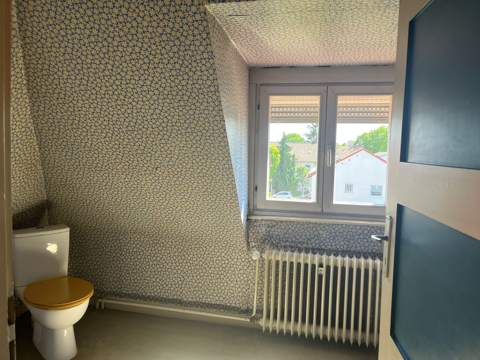 WC DG