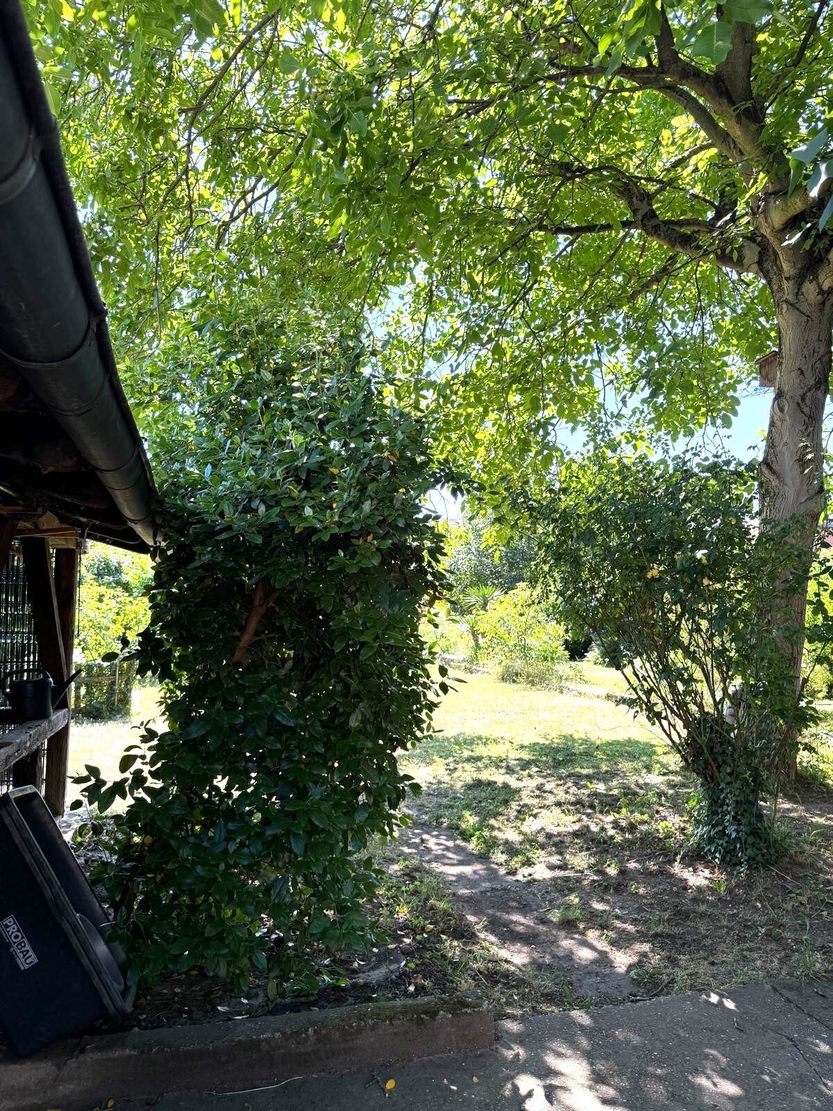 Blick zum Garten