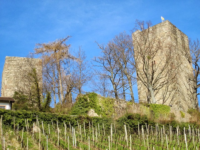 Immobilien Weinheim